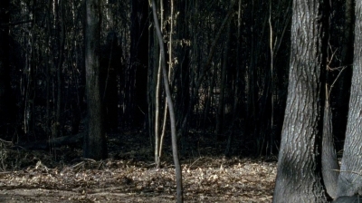 twd0606-1090.jpg