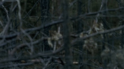 twd0606-1814.jpg