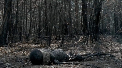 twd0606-3285.jpg