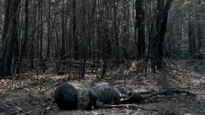 twd0606-3286.jpg