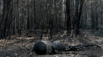 twd0606-3288.jpg