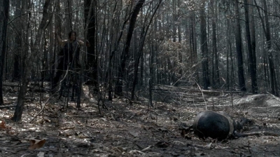 twd0606-3300.jpg