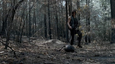 twd0606-3311.jpg