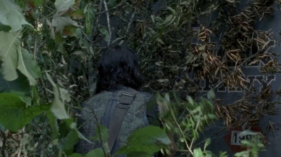 twd0606-3375.jpg