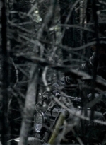 twd0606-0287.jpg