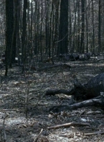twd0606-0325.jpg