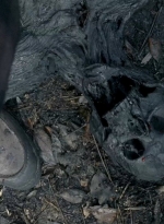 twd0606-0364.jpg