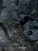 twd0606-0365.jpg