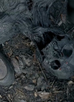 twd0606-0366.jpg
