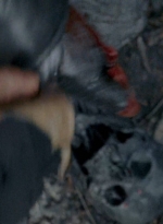 twd0606-0373.jpg