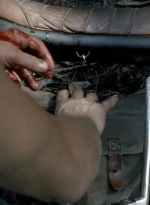 twd0606-0427.jpg