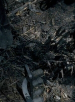 twd0606-0441.jpg
