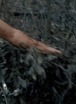 twd0606-0451.jpg