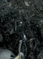 twd0606-0453.jpg