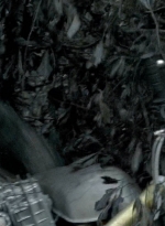 twd0606-0454.jpg