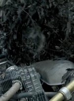 twd0606-0455.jpg