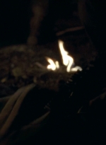 twd0606-0516.jpg