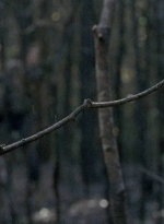 twd0606-0587.jpg