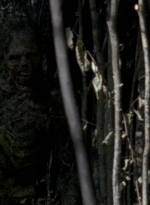 twd0606-1108.jpg