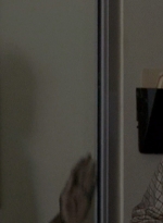 twd0606-1410.jpg