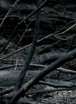 twd0606-1804.jpg