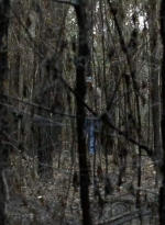 twd0606-1969.jpg