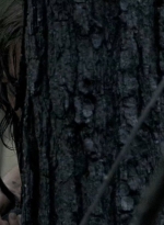 twd0606-2031.jpg