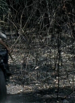 twd0606-3263.jpg