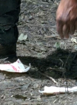 twd0606-3265.jpg