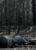 twd0606-3286.jpg