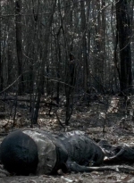 twd0606-3287.jpg
