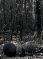twd0606-3288.jpg