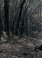 twd0606-3299.jpg