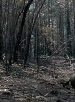 twd0606-3301.jpg