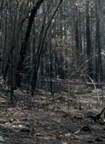 twd0606-3302.jpg