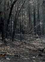 twd0606-3303.jpg