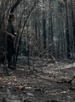 twd0606-3305.jpg