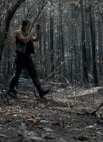 twd0606-3306.jpg