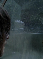 twd0606-3396.jpg