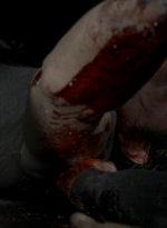 twd0607-0065.jpg