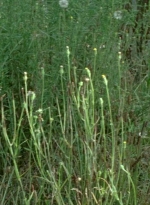 twd0607-0887.jpg