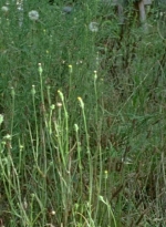 twd0607-0888.jpg