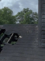 twd0607-1435.jpg