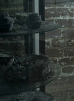 twd0607-1737.jpg