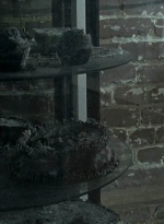 twd0607-1738.jpg