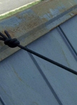 twd0607-2634.jpg