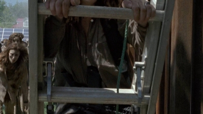 twd0608-0331.jpg