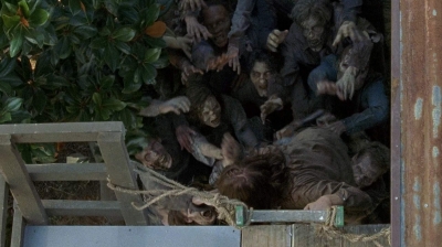 twd0608-0339.jpg