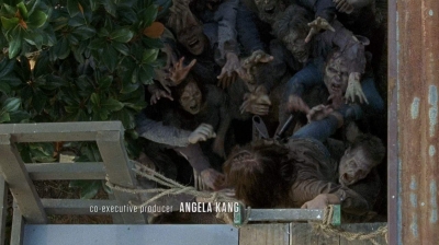 twd0608-0341.jpg