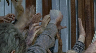 twd0608-0352.jpg